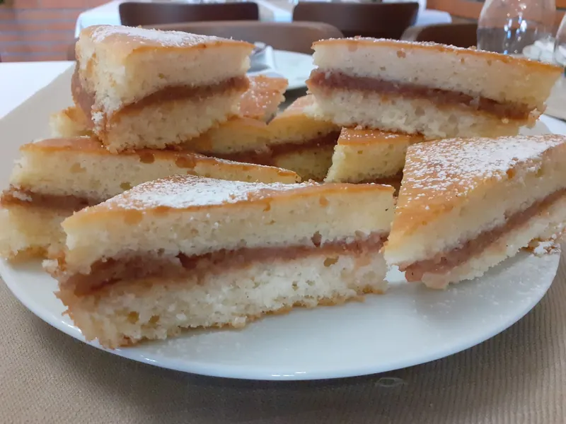 Homemade sponge cake with a fruit filling, dusted with sugar